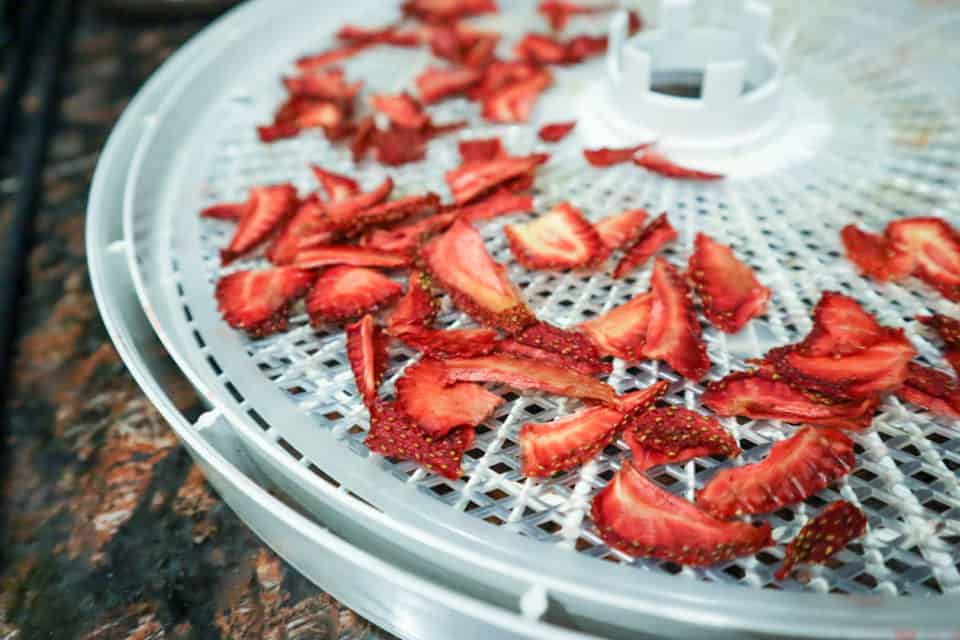 Picture of Dehydrated Strawberries on a dehydrator tray.