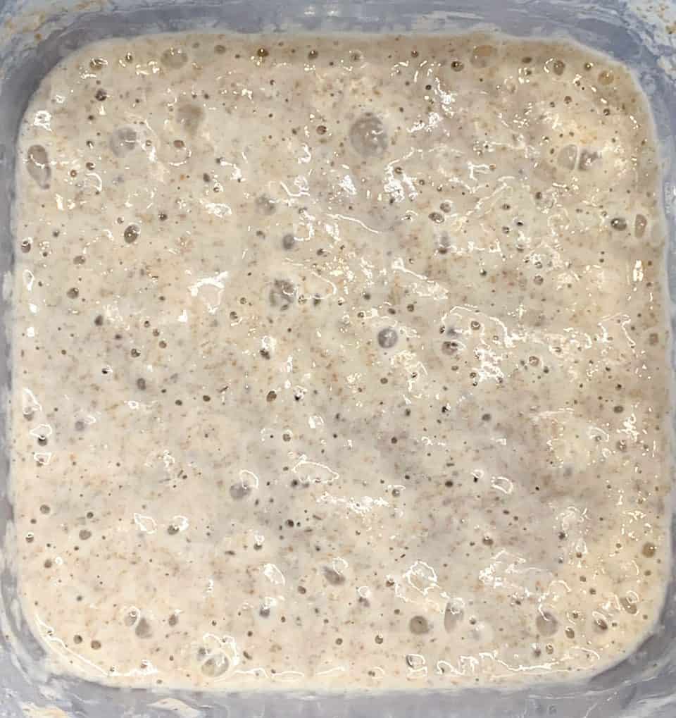 Picture of bubbly sourdough starter up close.