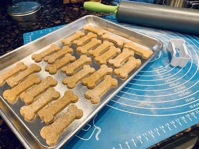 Two Ingredient Dog Treats (Small Batch) The Recipe Bandit