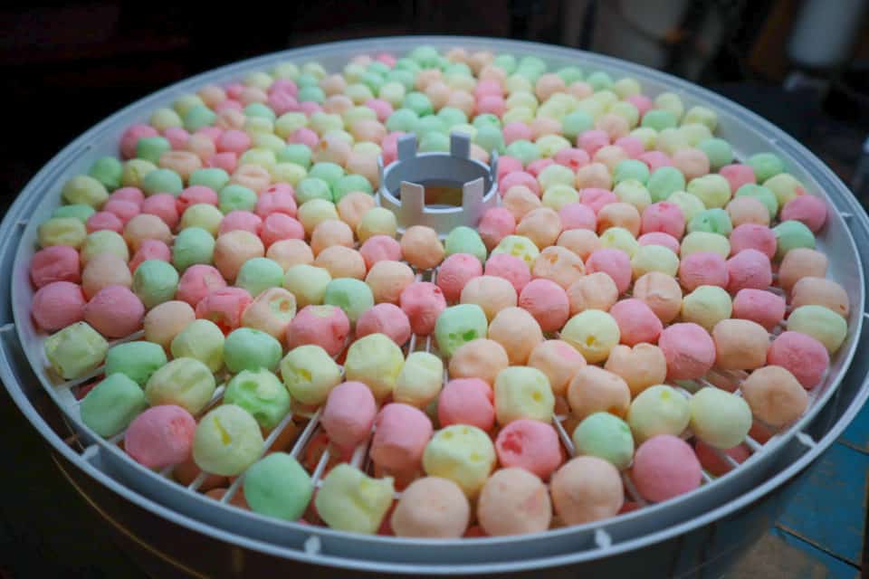 Picture of Dehydrated Mini Marshmallows on a dehydrator tray.