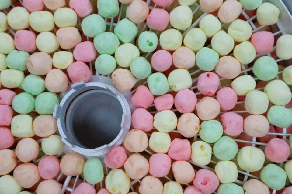 Picture of Dehydrated Mini Marshmallows on a dehydrator tray.