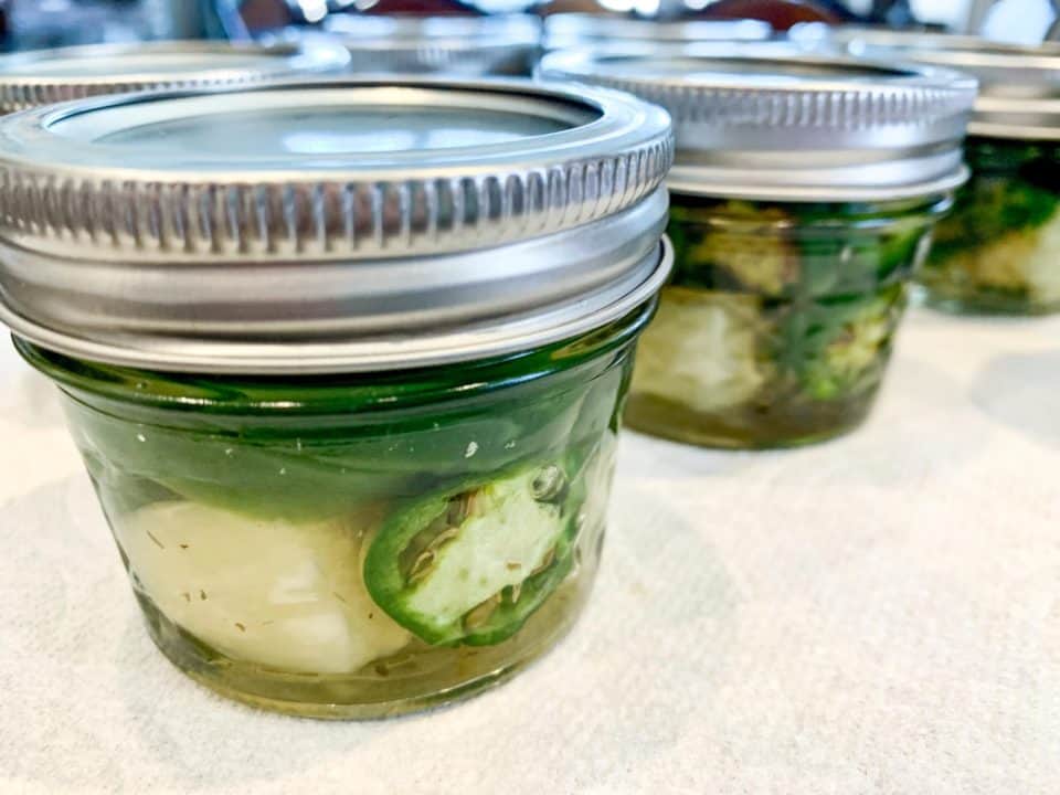 Picture of sealed jars of Pineapple Cowboy Candy prior to being water bath canned.