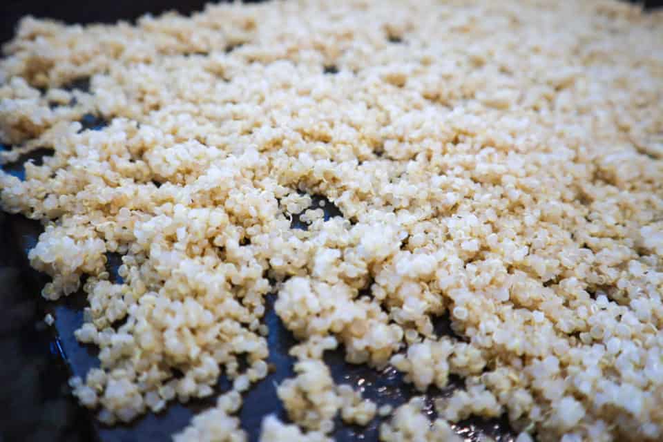 Close up picture of cooked quinoa for Southwestern Quinoa Salad.