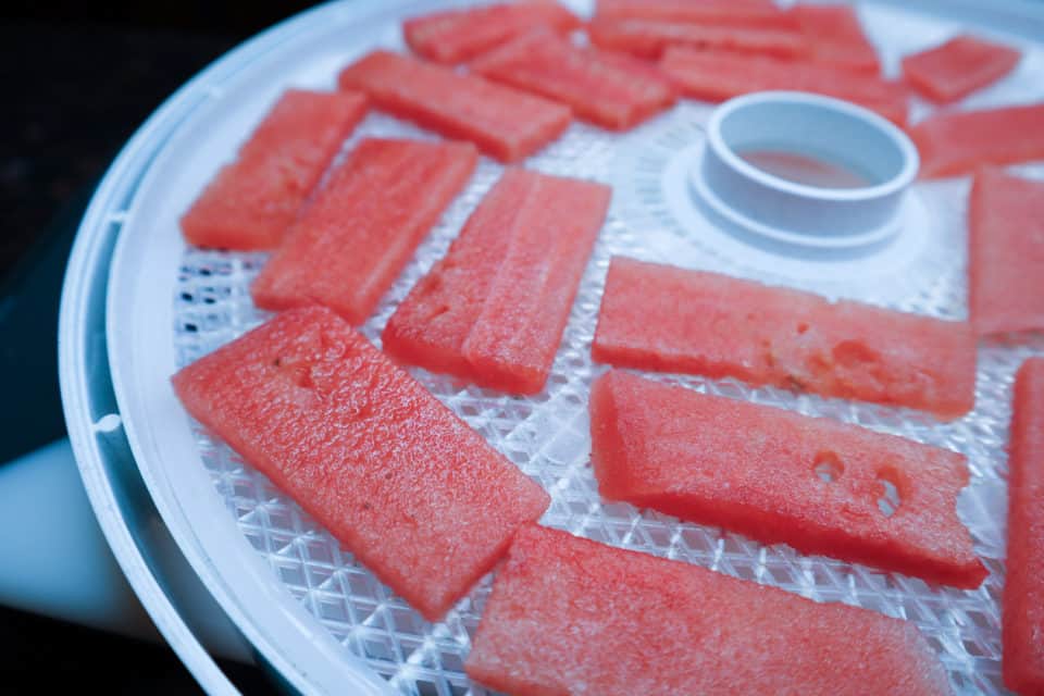 Picture of cut watermelon on dehydrator trays.