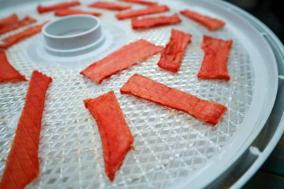 Close up picture of dehydrating watermelon slices for Watermelon Jerky (Dehydrated Watermelon).