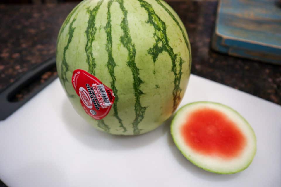 Picture of a watermelon prior to cutting.